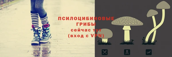герыч Новодвинск