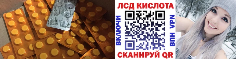 кракен вход  Приморско-Ахтарск  ЛСД экстази ecstasy 