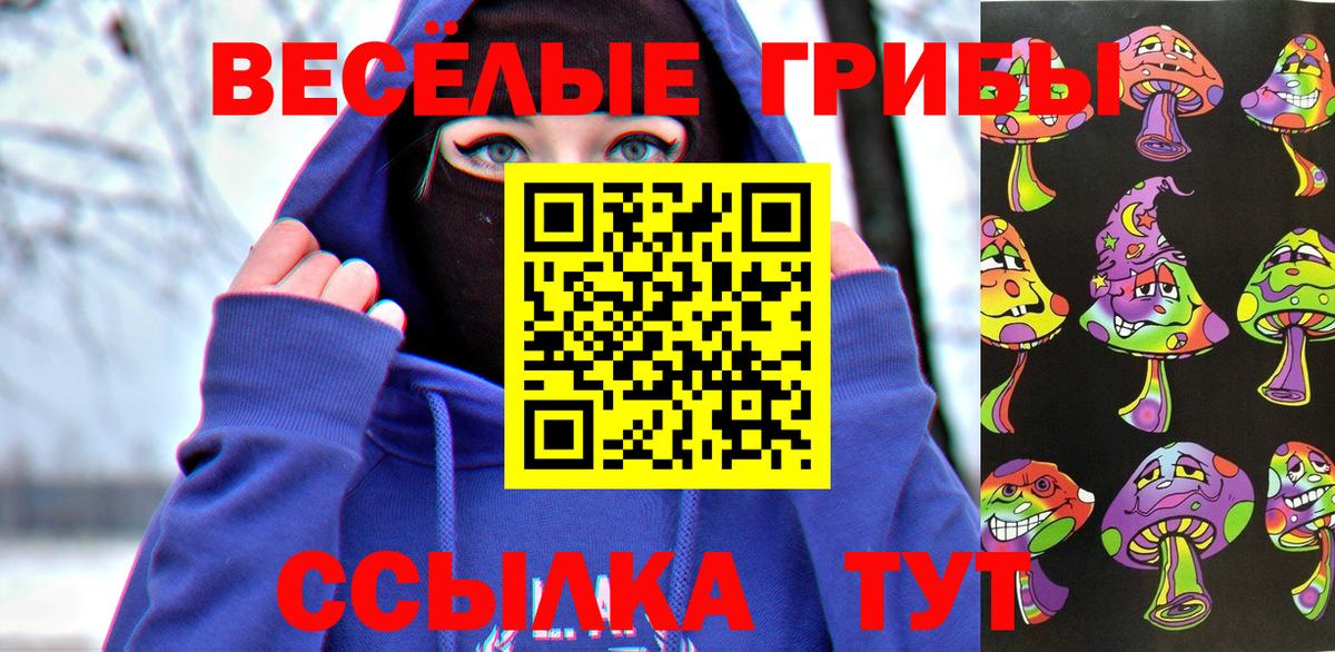 Псилоцибиновые грибы Cubensis  Приморско-Ахтарск 