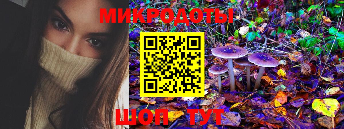 Псилоцибиновые грибы прущие грибы  Вход с VPN  Приморско-Ахтарск 