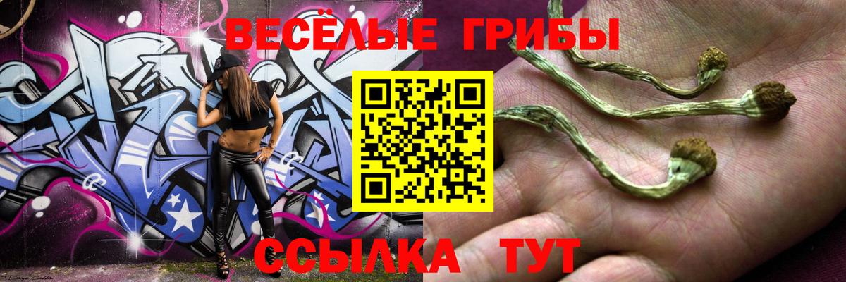 Псилоцибиновые грибы Psilocybine cubensis Приморско-Ахтарск